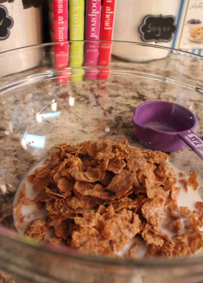 Ellie Krieger's Fig Bran Muffins | www.thebahamallama.wordpress.com