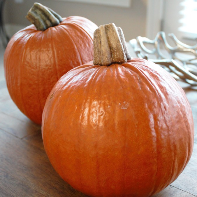 Quit buying from a can, making your own is too easy!