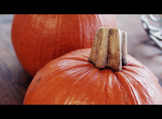 Quit buying canned pumpkin - making your own is WAY too easy! 