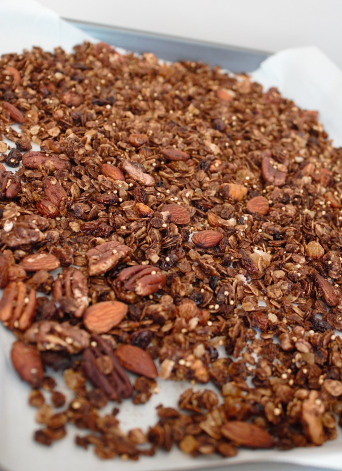 Gingerbread Granola | www.thebahamallama.wordpress.com