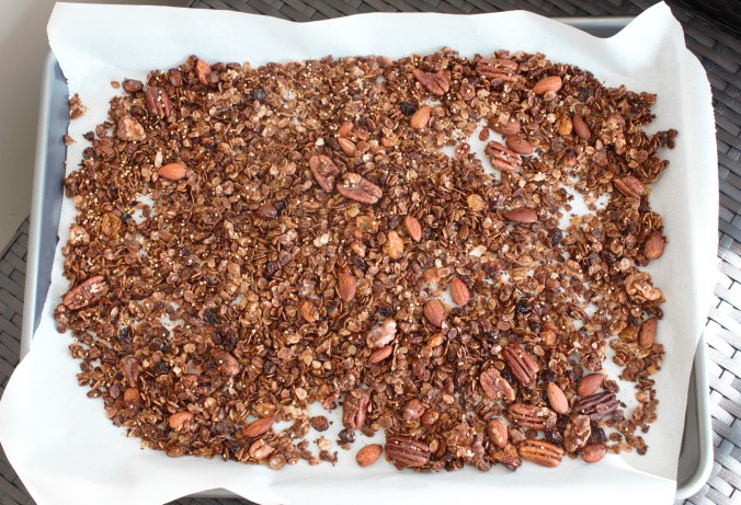 Gingerbread Granola | www.thebahamallama.wordpress.com