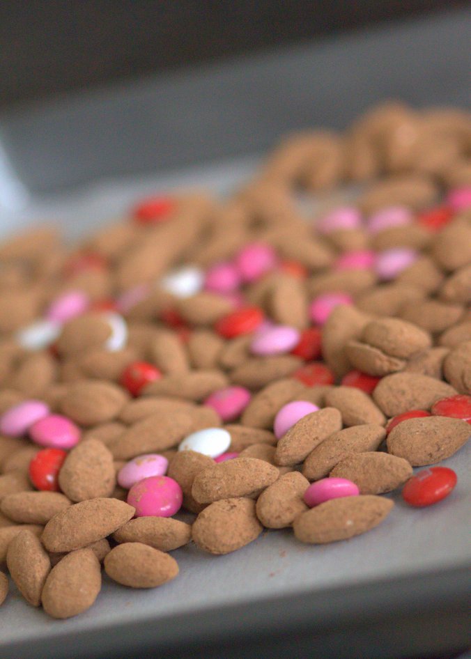 Mexican Hot Chocolate Cocoa Dusted Almonds | www.thebahamallama.com