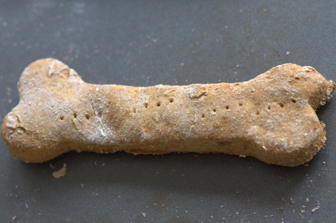 Homemade Dog Treats | www.thebahamallama.com