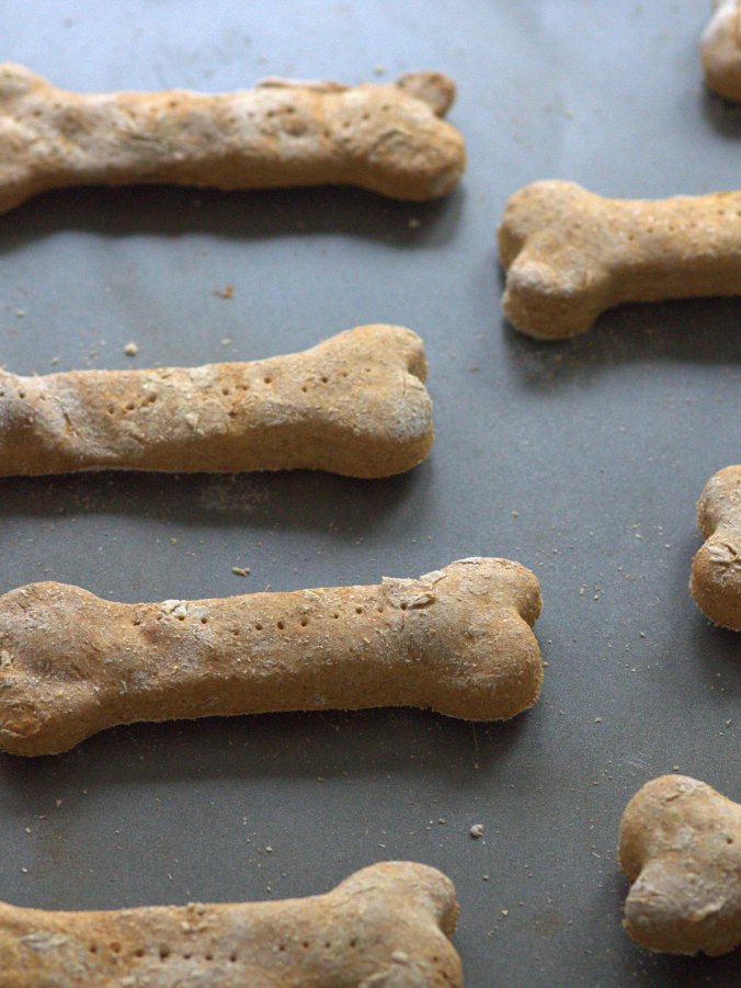 Homemade Dog Treats | www.thebahamallama.com