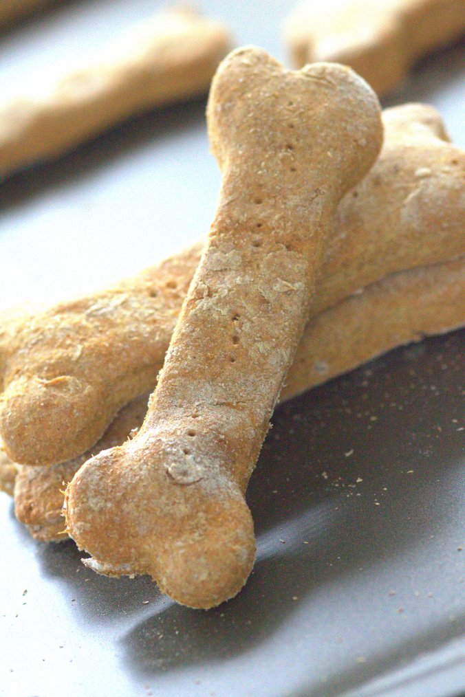 Homemade Dog Treats | www.thebahamallama.com