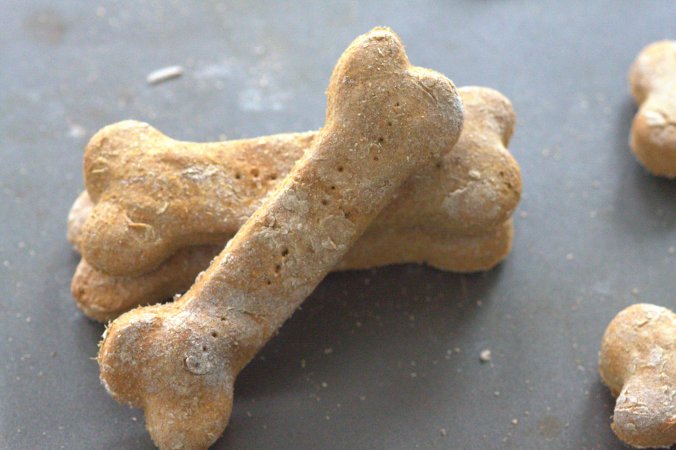 Homemade Dog Treats | www.thebahamallama.com