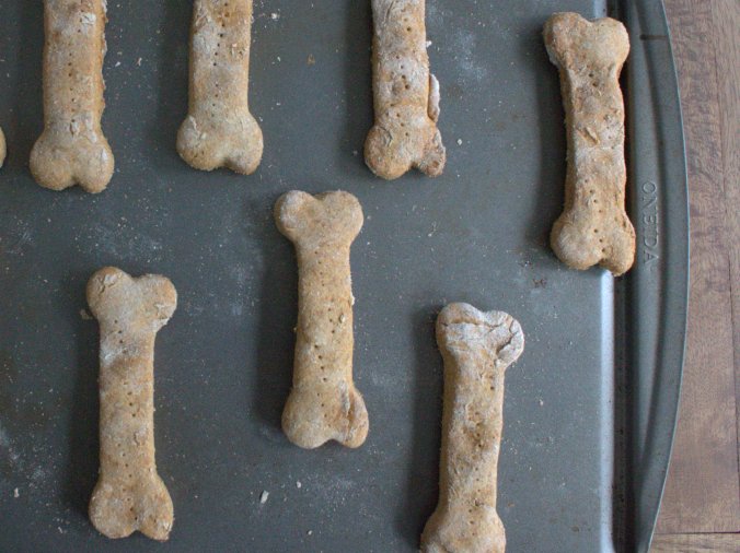 Homemade Dog Treats | www.thebahamallama.com