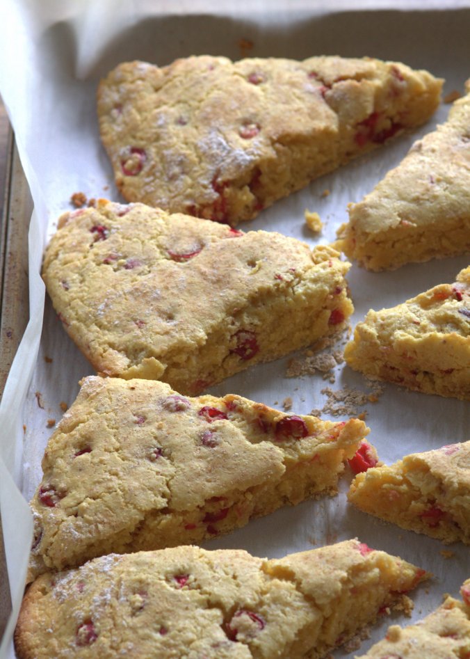 Lemon Cranberry Scones with Lemon Glaze | www.thebahamallama.com