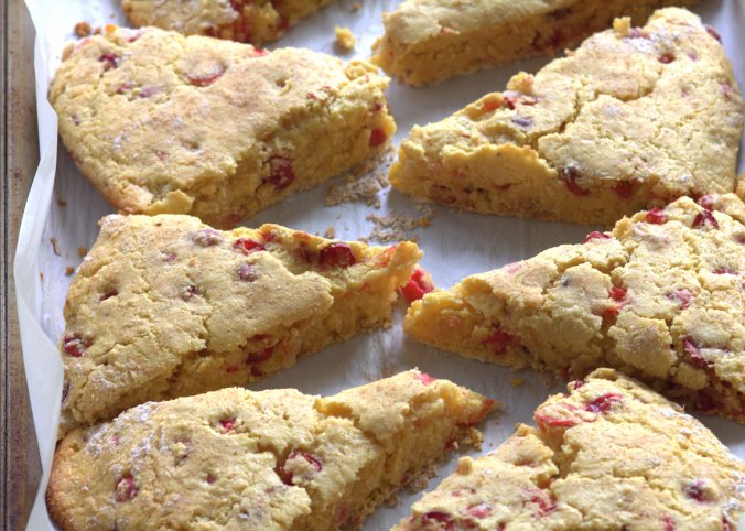 Lemon Cranberry Scones with Lemon Glaze | www.thebahamallama.com