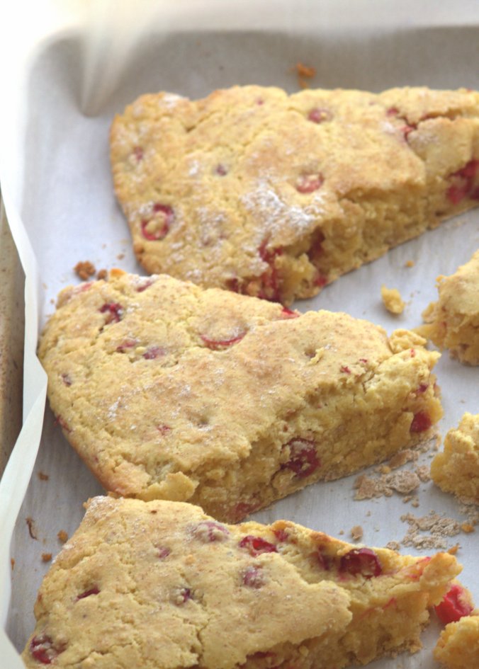 Lemon Cranberry Scones with Lemon Glaze | www.thebahamallama.com