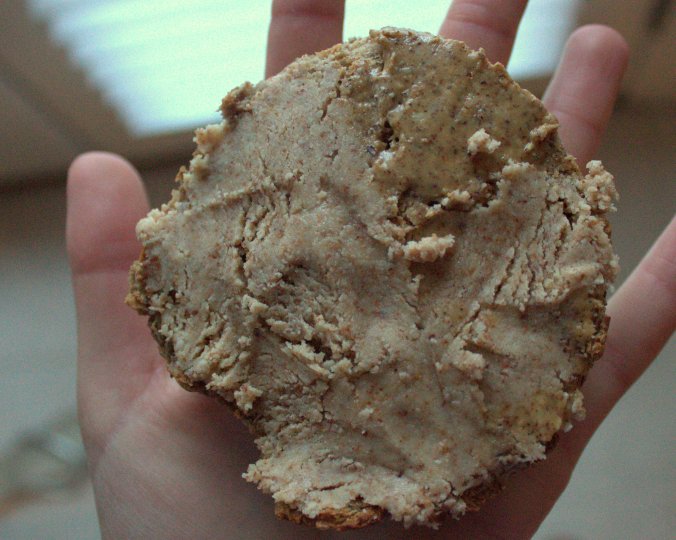Homemade Almond Butter | www.thebahamallama.com