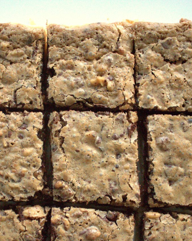 Bourbon Chocolate Walnut Bars | www.thebahamallama..com