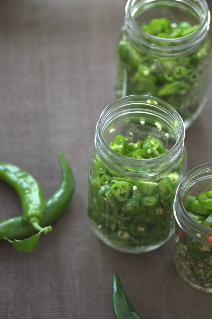 Pickled Hot Garden Salsa Peppers | www.thebahamallama.com