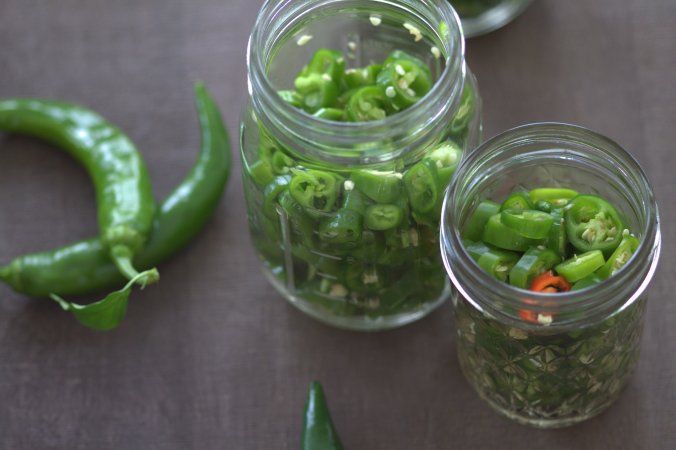 Pickled Hot Garden Salsa Peppers | www.thebahamallama.com
