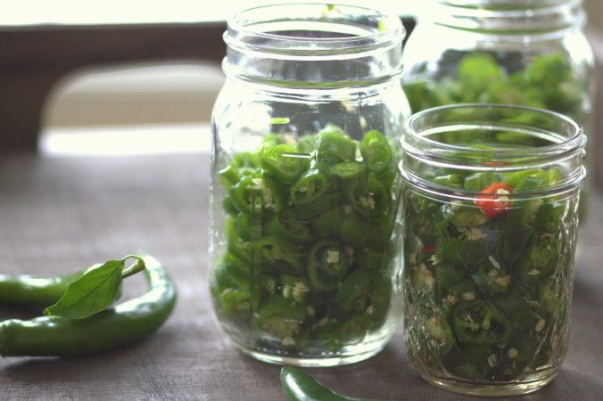 Pickled Hot Garden Salsa Peppers | www.thebahamallama.com