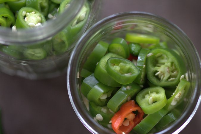 Pickled Hot Garden Salsa Peppers | www.thebahamallama.com