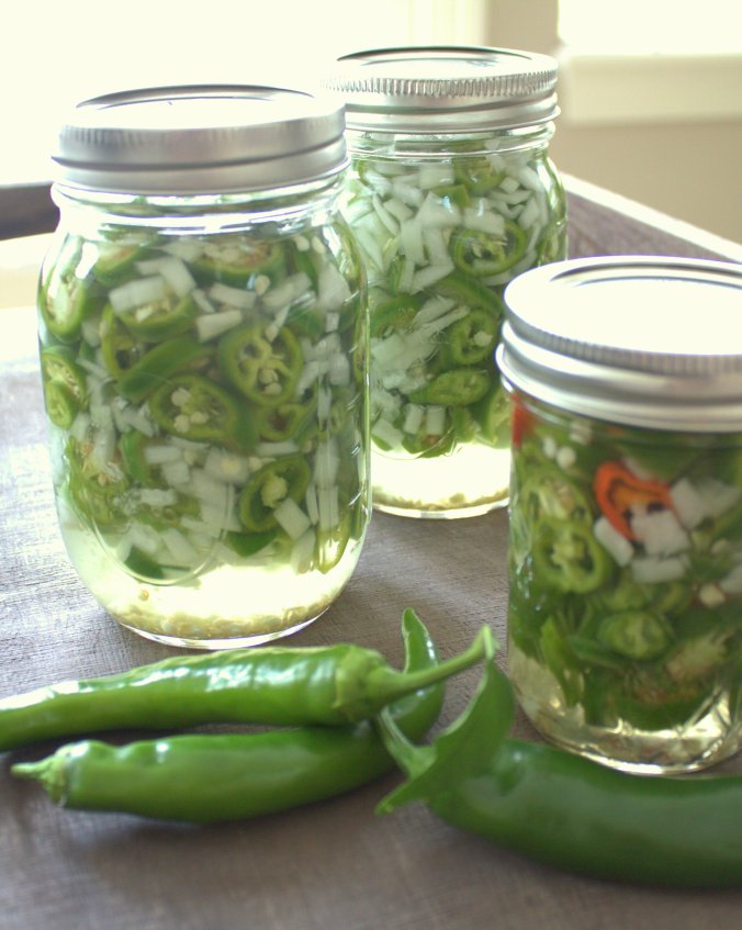 Pickled Hot Garden Salsa Peppers | www.thebahamallama.com