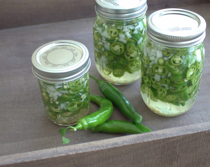 Pickled Hot Garden Salsa Peppers | www.thebahamallama.com