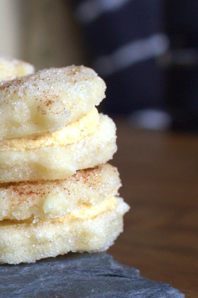 Pumpkin Spice Sandwich Cookies | www.thebahamallama.com